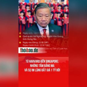 TỪ HARVARD ĐẾN SINGAPORE: NHỮNG TẤM BẰNG MA VÀ SỰ IM LẶNG ĐẮT GIÁ 1 TỶ ĐÔ!