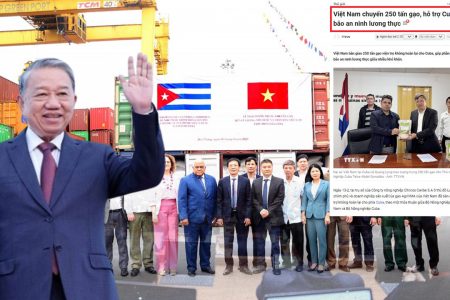 Ván Bài „Gạo Máu“ Và Giấc Mơ Đế Chế Của Tô Lâm