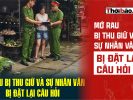 MỚ RAU BỊ THU GIỮ VÀ SỰ NHÂN VĂN BỊ ĐẶT LẠI CÂU HỎI