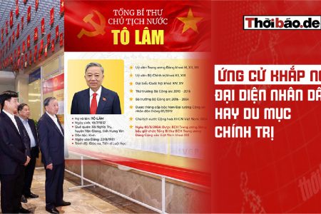 Ứng cử khắp nơi: đại diện nhân dân hay “du mục chính trị”?