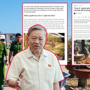 Vàng và cây cối dân không giấy tờ bị tịch thu, biệt phủ siêu xe quan chức vẫn ung dung!