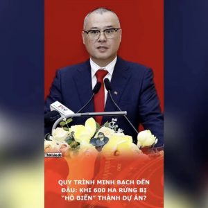 Quy trình minh bạch đến đâu: Khi 600 ha rừng bị “hô biến” thành dự án?