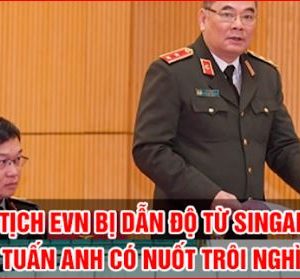 Quan thường đi tù và quan quý về vườn.