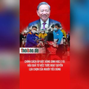 Chính sách áp đặt xăng sinh học E10: Hậu quả từ việc tước đoạt quyền lựa chọn của người tiêu dùng