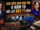 Giá bèo cho đại án: 6 năm tù đổi lấy 803 tỷ đồng