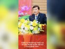 Rừng tự nhiên bị triệt hạ để xây dựng quần thể du lịch sinh thái