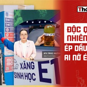 Độc quyền nhiên liệu: Ép dầu, ép mỡ, ai nỡ ép cồn