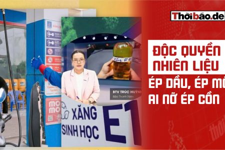 Độc quyền nhiên liệu: Ép dầu, ép mỡ, ai nỡ ép cồn