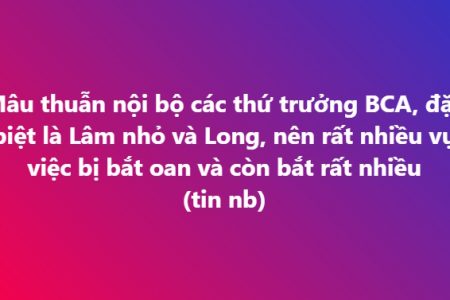 Mâu thuẫn nội bộ các thứ trưởng BCA, đặc biệt là Lâm nhỏ và Long, nên rất nhiều vụ việc bị bắt oan và còn bắt rất nhiều ( tin nội bộ 2.10.26)